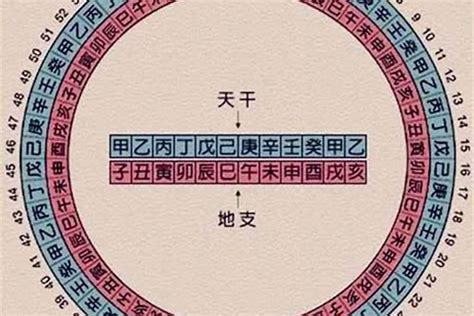 今年五行|今年是什么年天干地支 今年是什么年庚